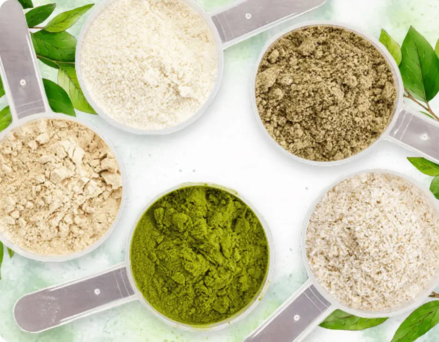 Top-down ProDentim formula ingredients presentation